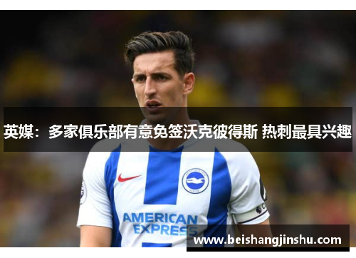 英媒:多家俱乐部有意免签沃克彼得斯 热刺最具兴趣
