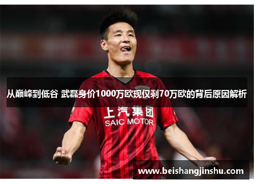 从巅峰到低谷 武磊身价1000万欧现仅剩70万欧的背后原因解析