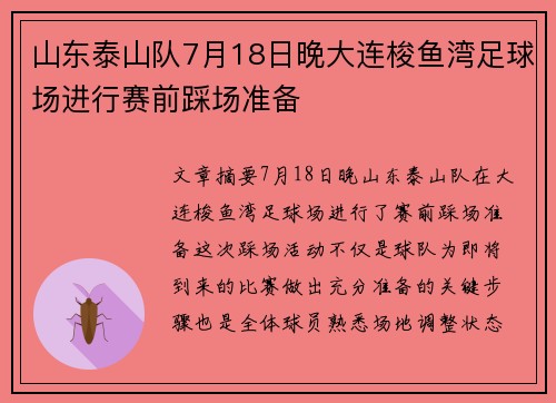山东泰山队7月18日晚大连梭鱼湾足球场进行赛前踩场准备